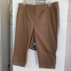 Avenue Crop Size 22 Pant